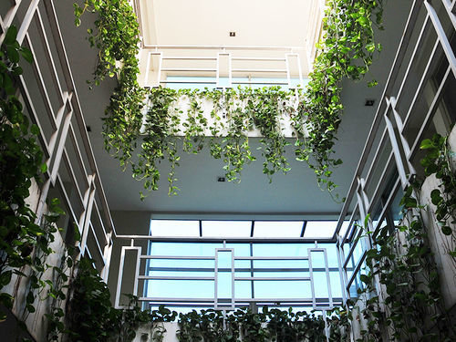Legreen Suite Tondano Jakarta Exterior photo
